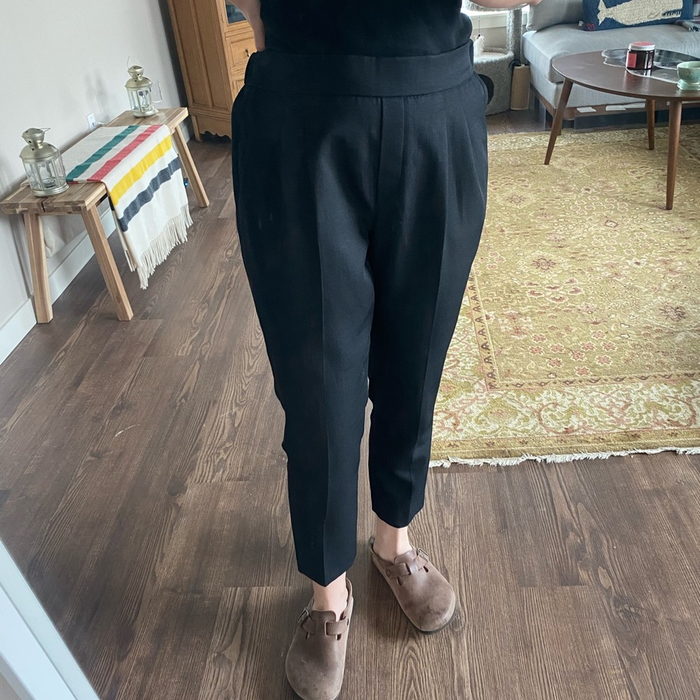 BABATON Aritzia Black Cropped Slim Trouser Pants Elastic Waist pleated